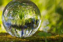 canva-glass-ball-in-nature-1