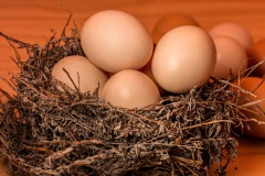 crowded-nest-egg-full