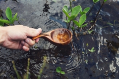 hand-water-leaf-pond-stream-food-produce-soil-spoon-leaves-publicdomain-ladle-wooden-107939