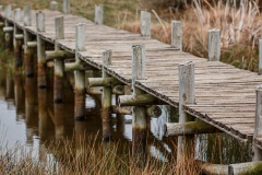 path-boardwalk-wood-bridge-old-pier-walkway-walk-shack-jetty-waterway-rural-area-wooden-bridge-board-walk-outdoor-structure-930077